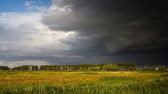 Sommerlandschaft. Am Himmel ziehen dunkle Gewitterwolken auf.